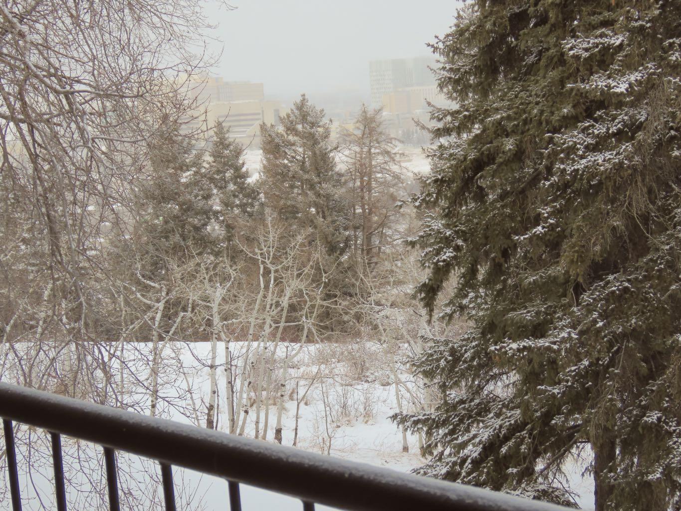 MLS #A2280165 image #17