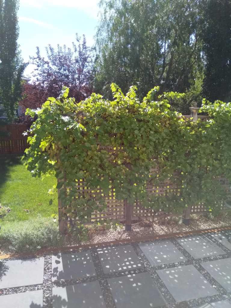 MLS #A2280295 image #45