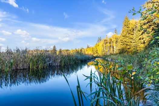 MLS #A2280502 image #47