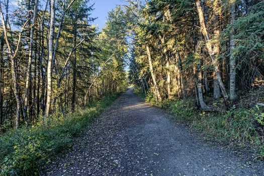 MLS #A2280502 image #49