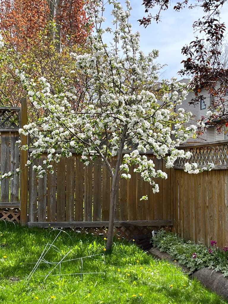 MLS #A2280592 image #40