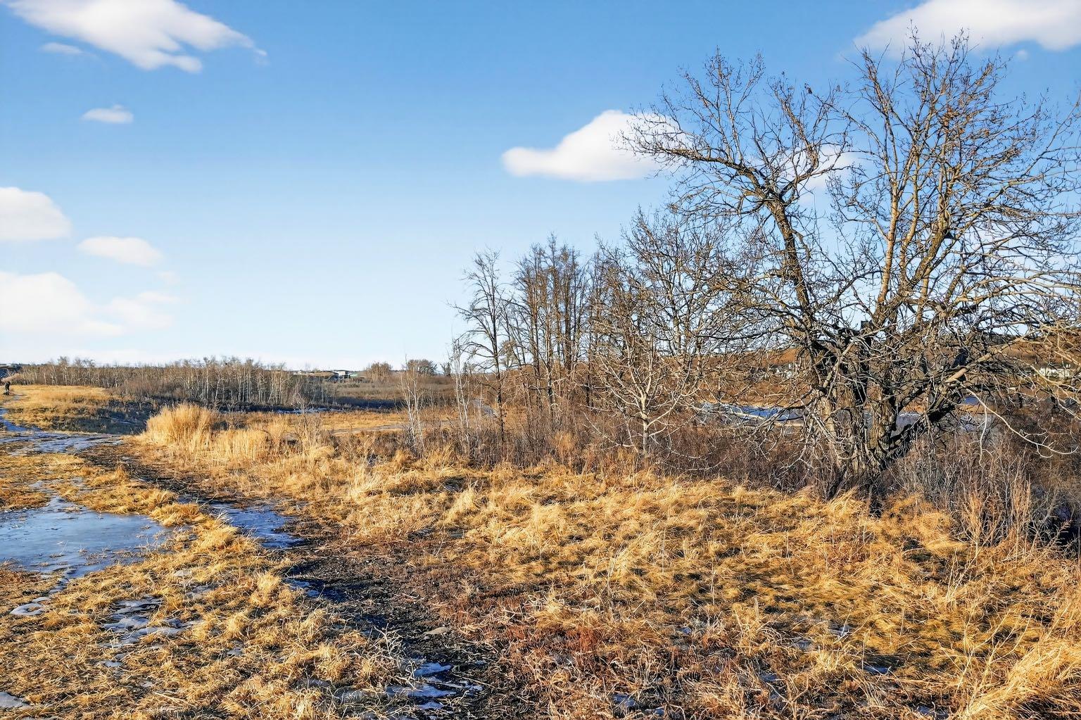 MLS #A2280595 image #33