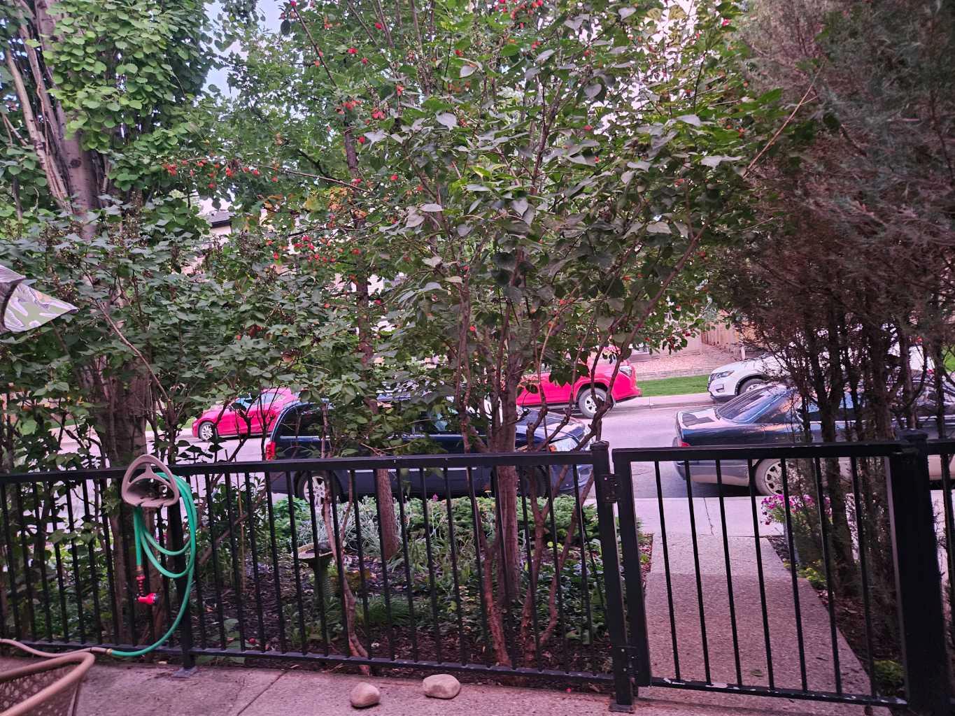 MLS #A2280662 image #3