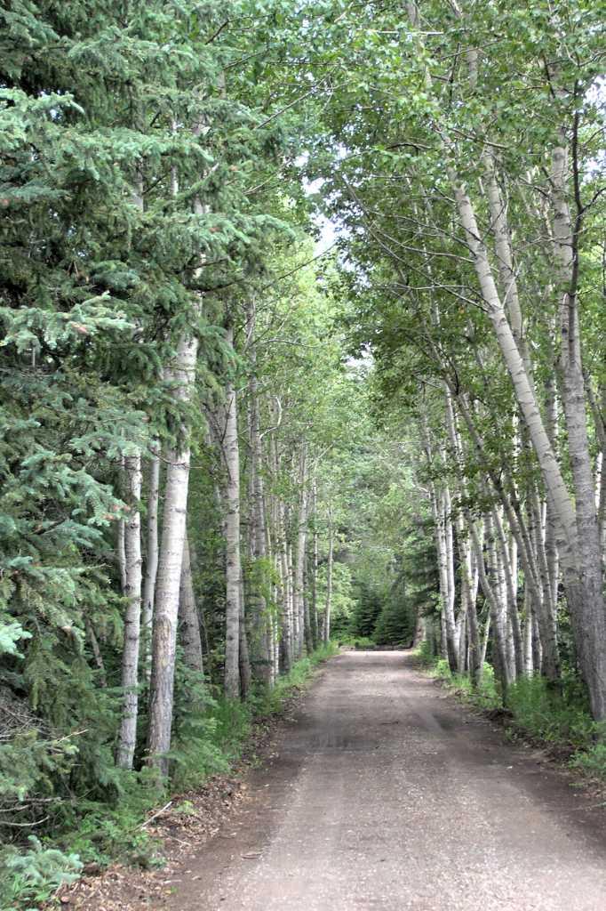 MLS #A2280748 image #2