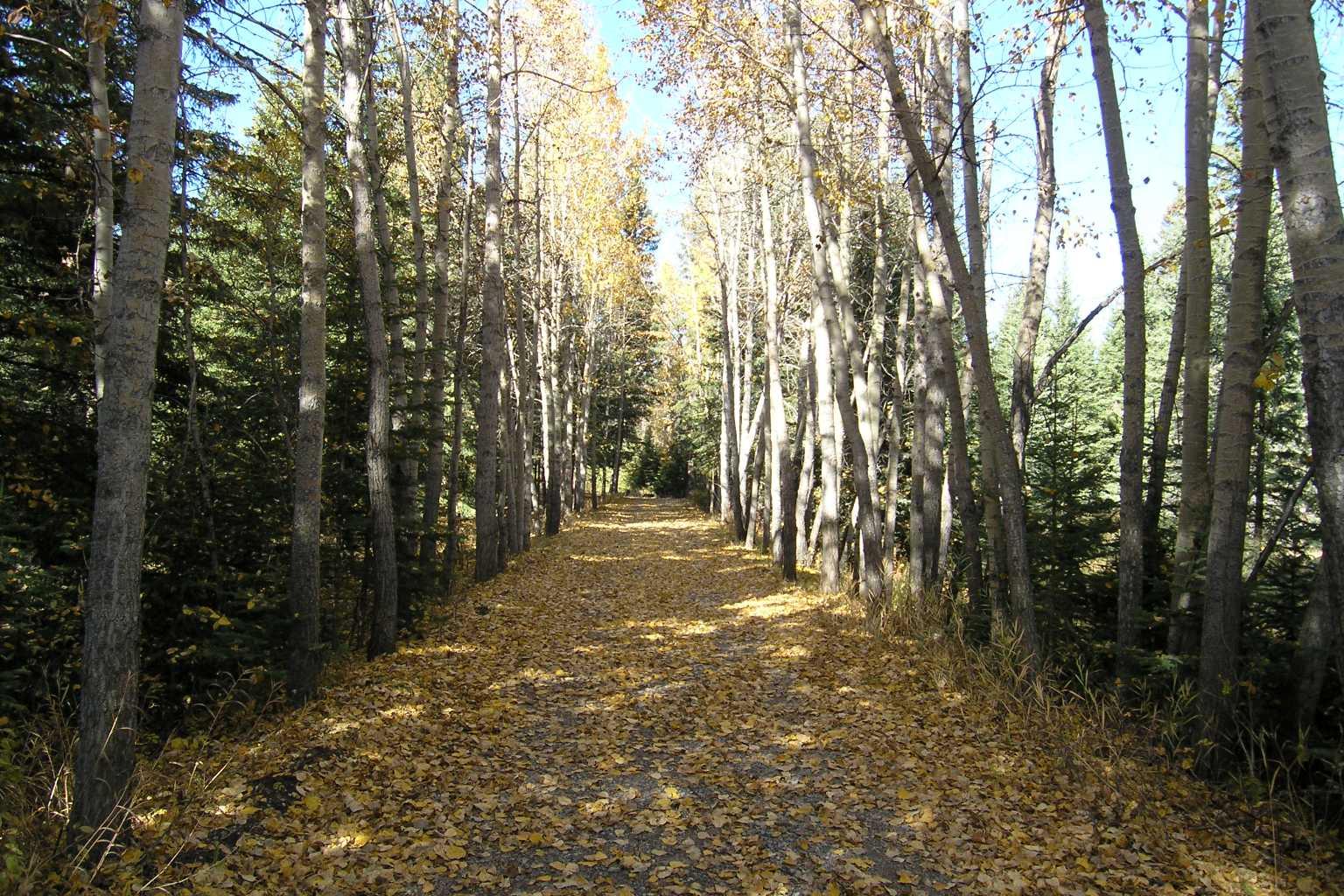 MLS #A2280748 image #33