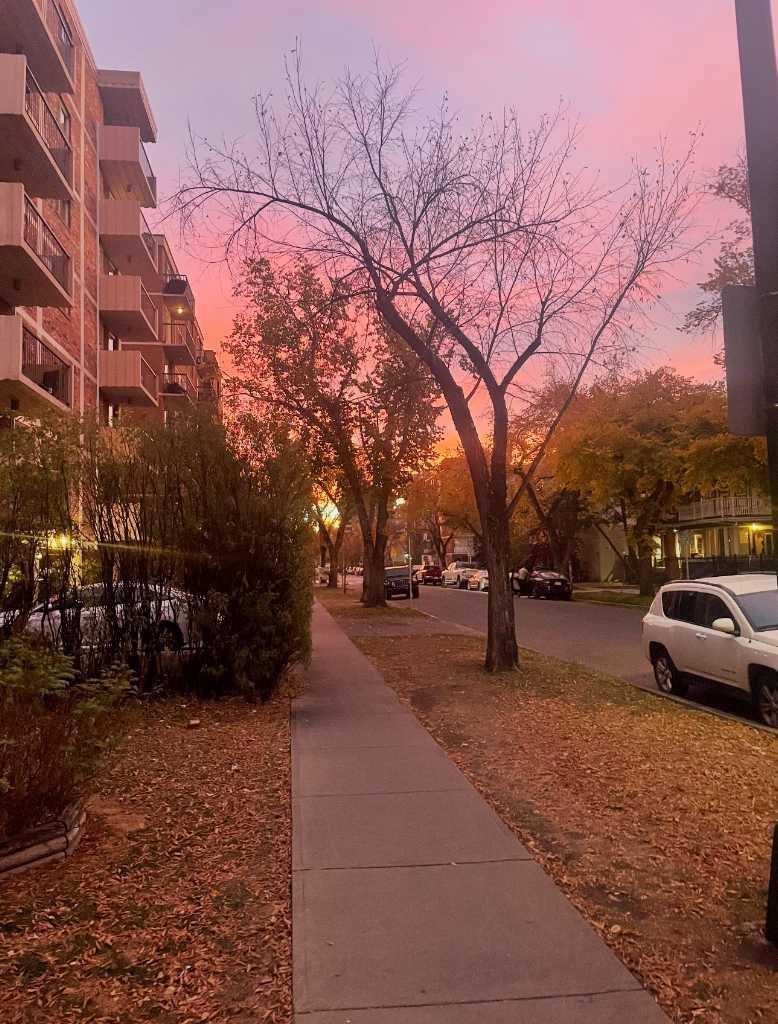 MLS #A2280916 image #13