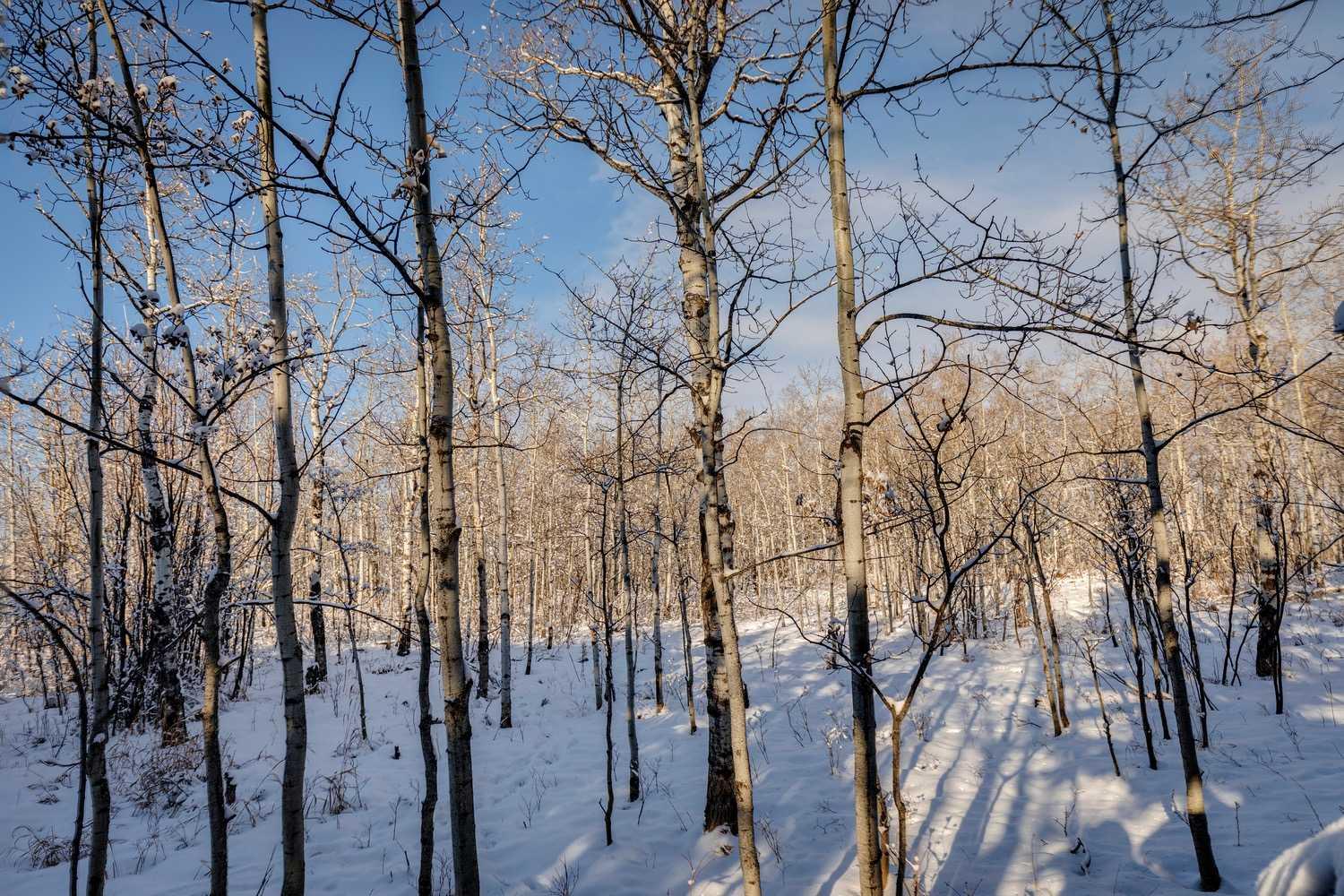 MLS #A2281353 image #47