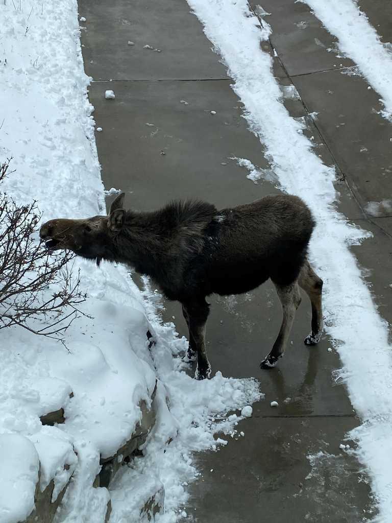 MLS #A2281353 image #49