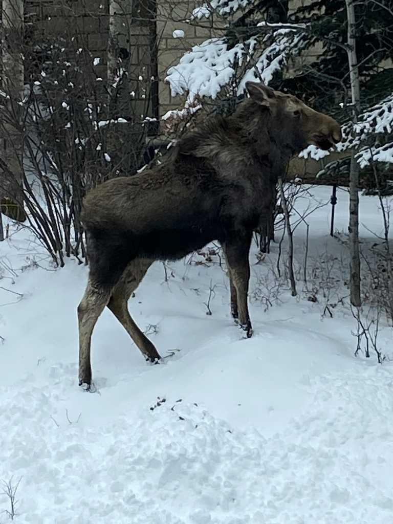 MLS #A2281353 image #50