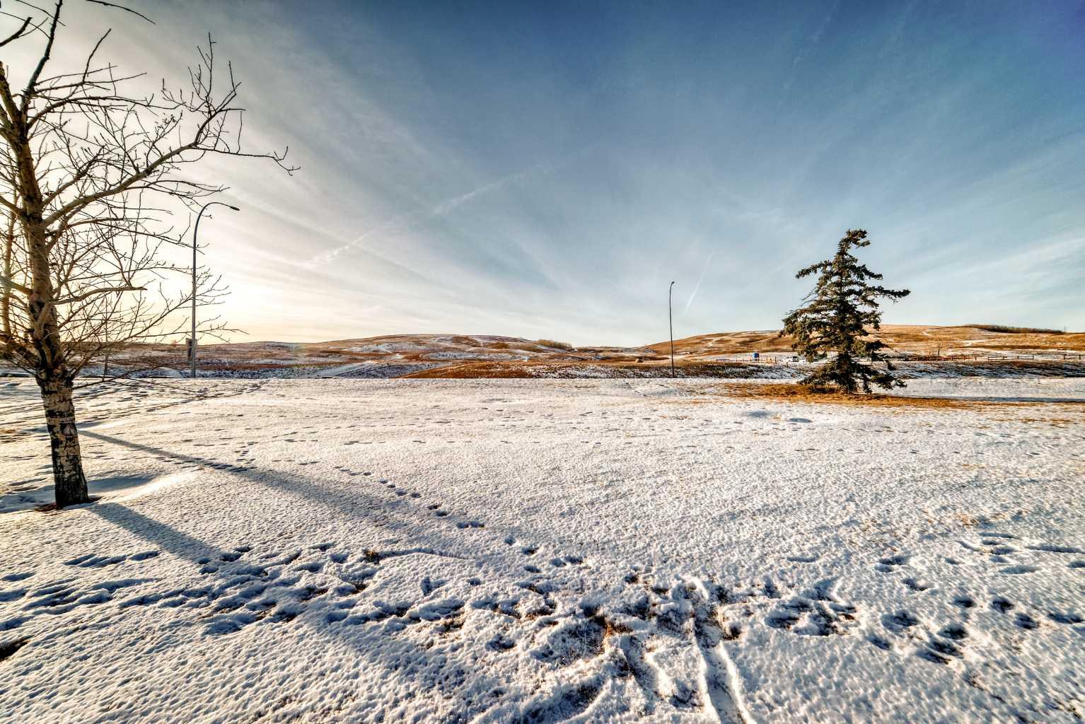 MLS #A2281572 image #47