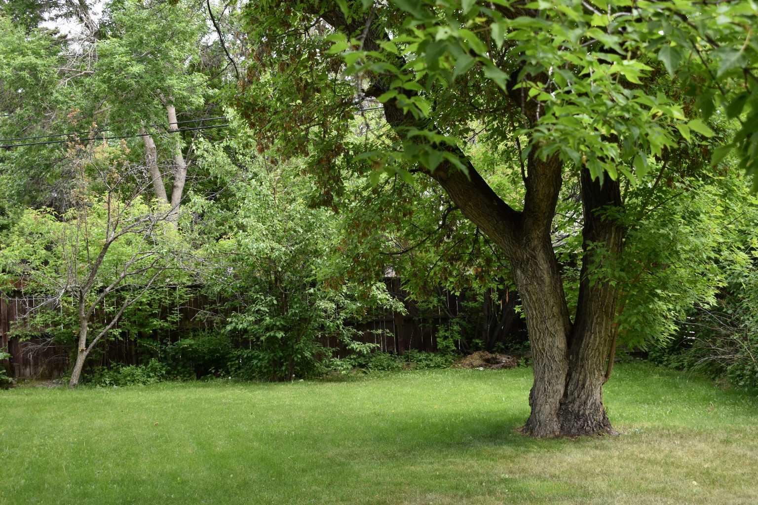 MLS #A2281657 image #40