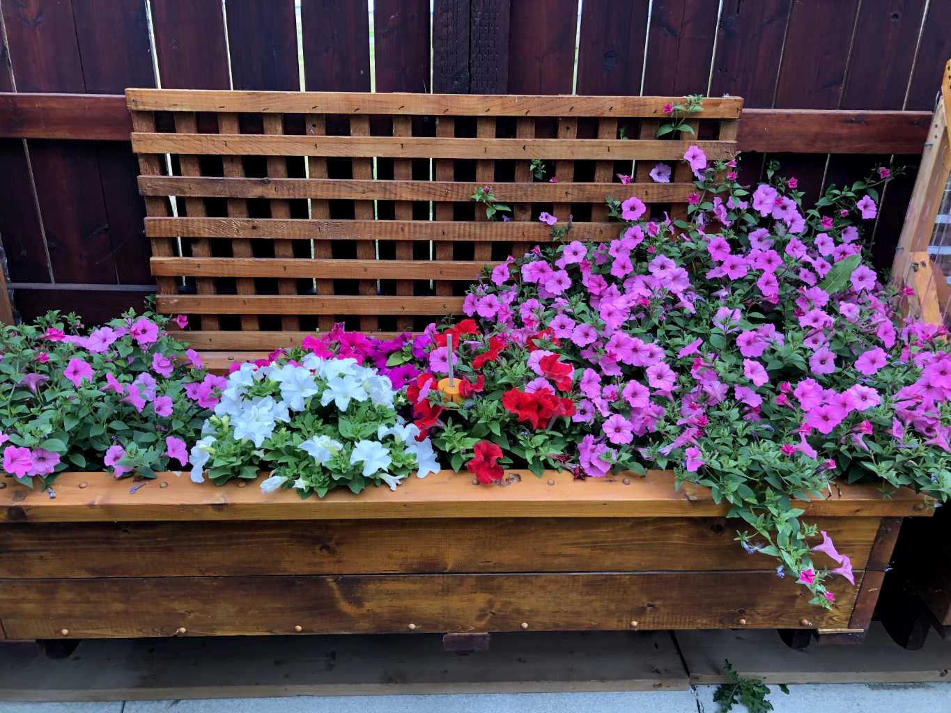 MLS #A2281683 image #41