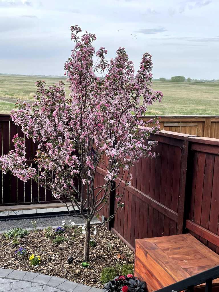 MLS #A2281683 image #42