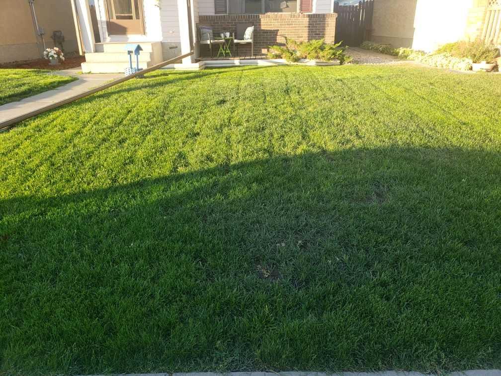 MLS #A2281699 image #42