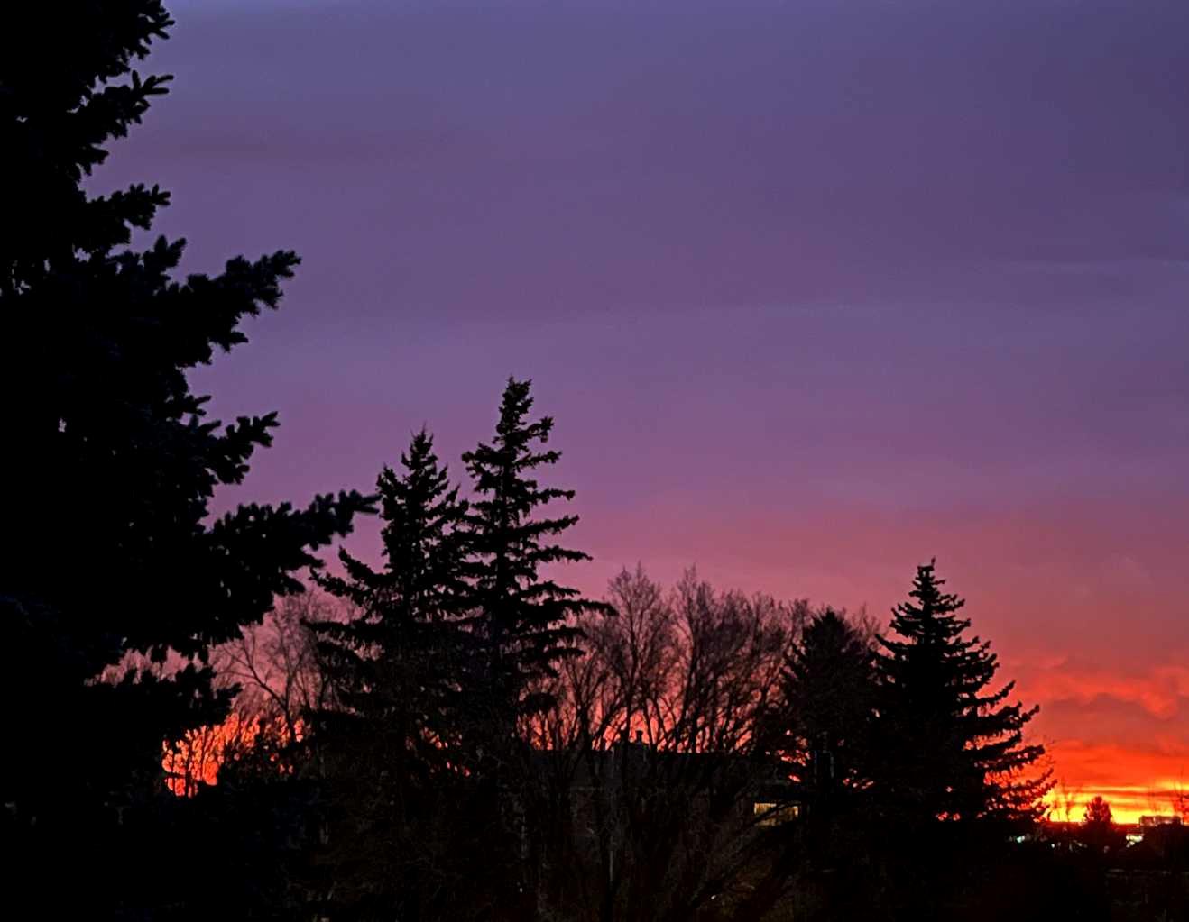 MLS #A2281896 image #35