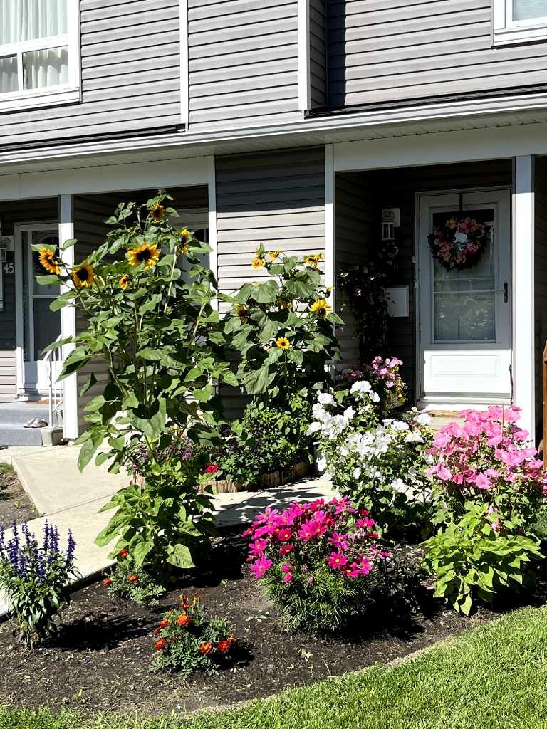 MLS #A2281896 image #36