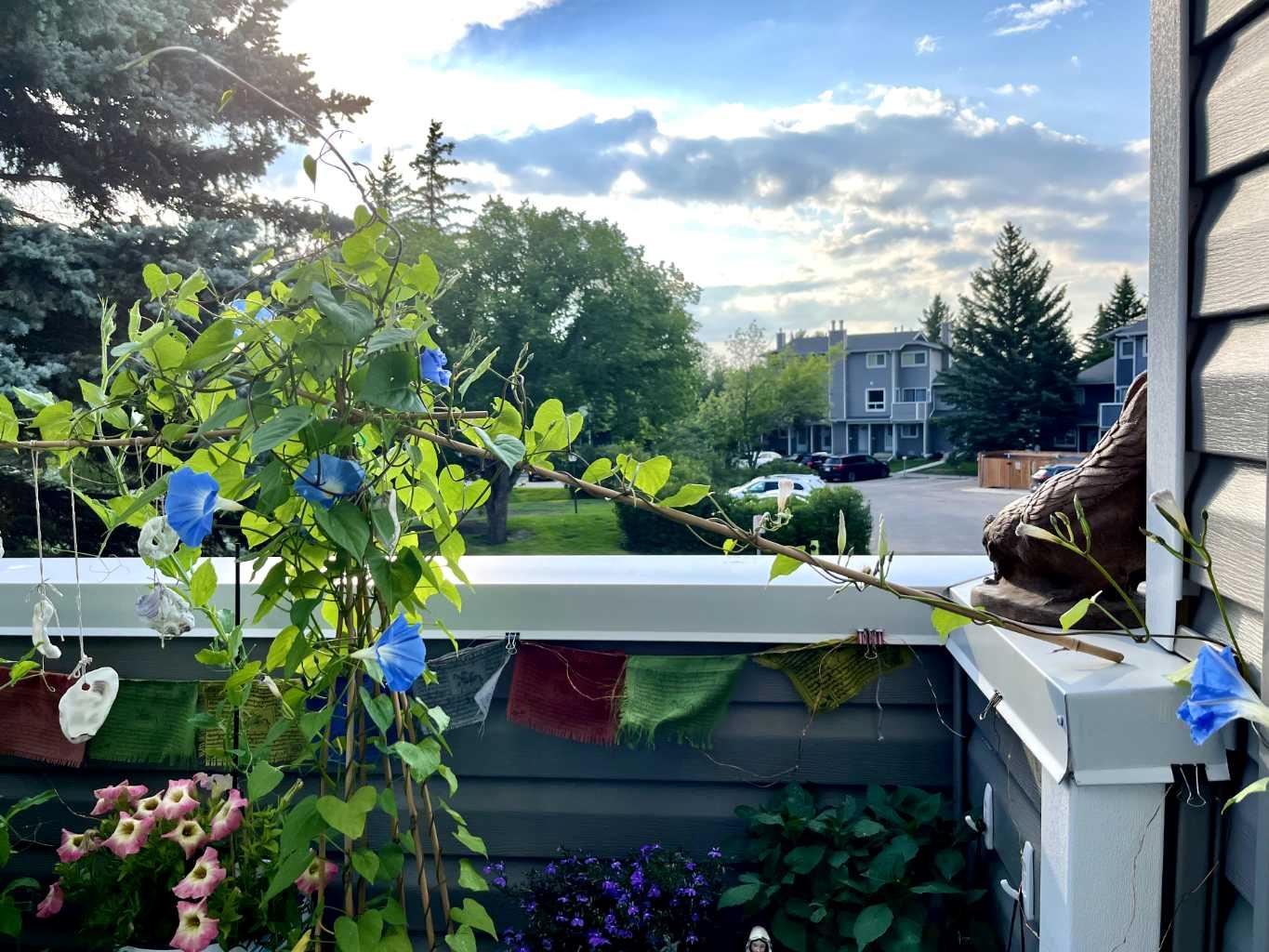 MLS #A2281896 image #38