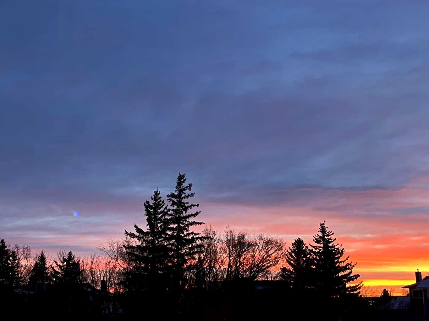 MLS #A2281896 image #39