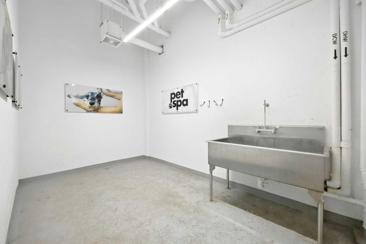 MLS #A2281950 image #20