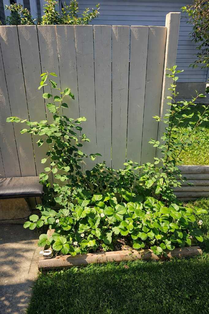 MLS #A2282421 image #50