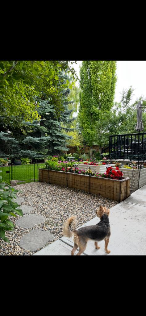 MLS #A2282440 image #43