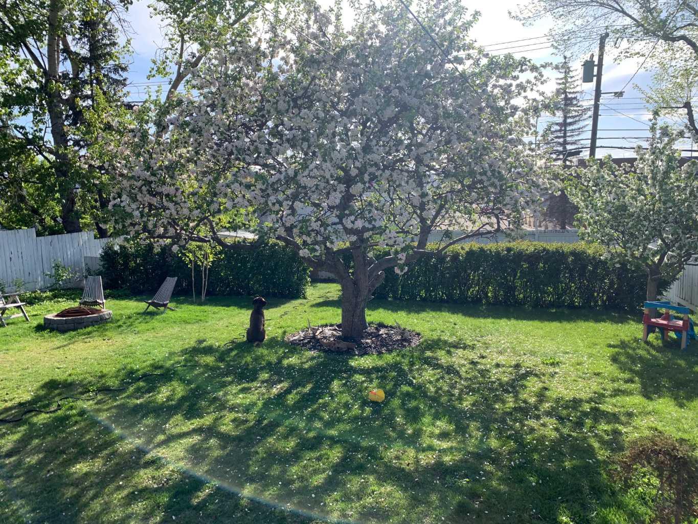 MLS #A2282729 image #42