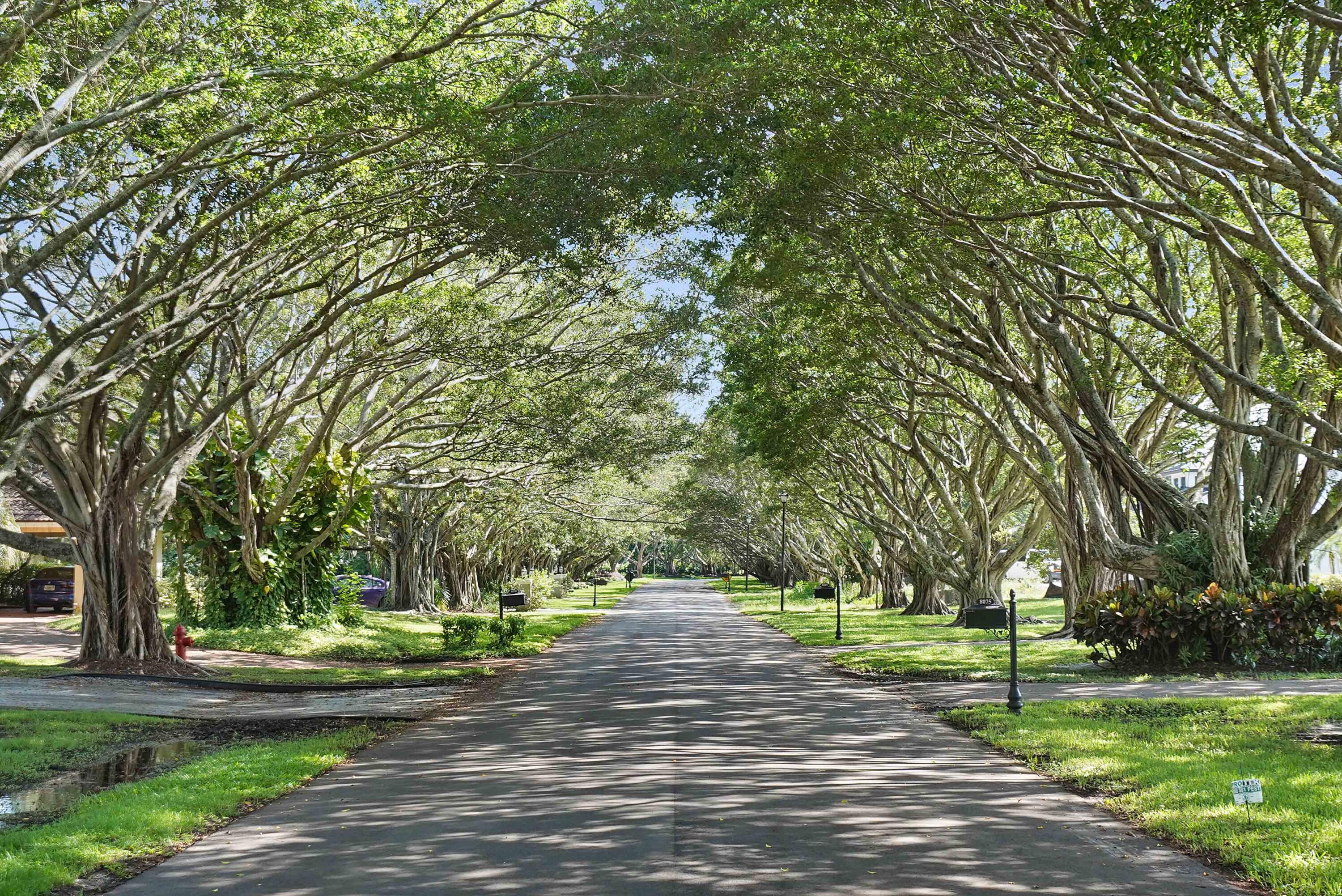 MLS #RX-10764901 image #61