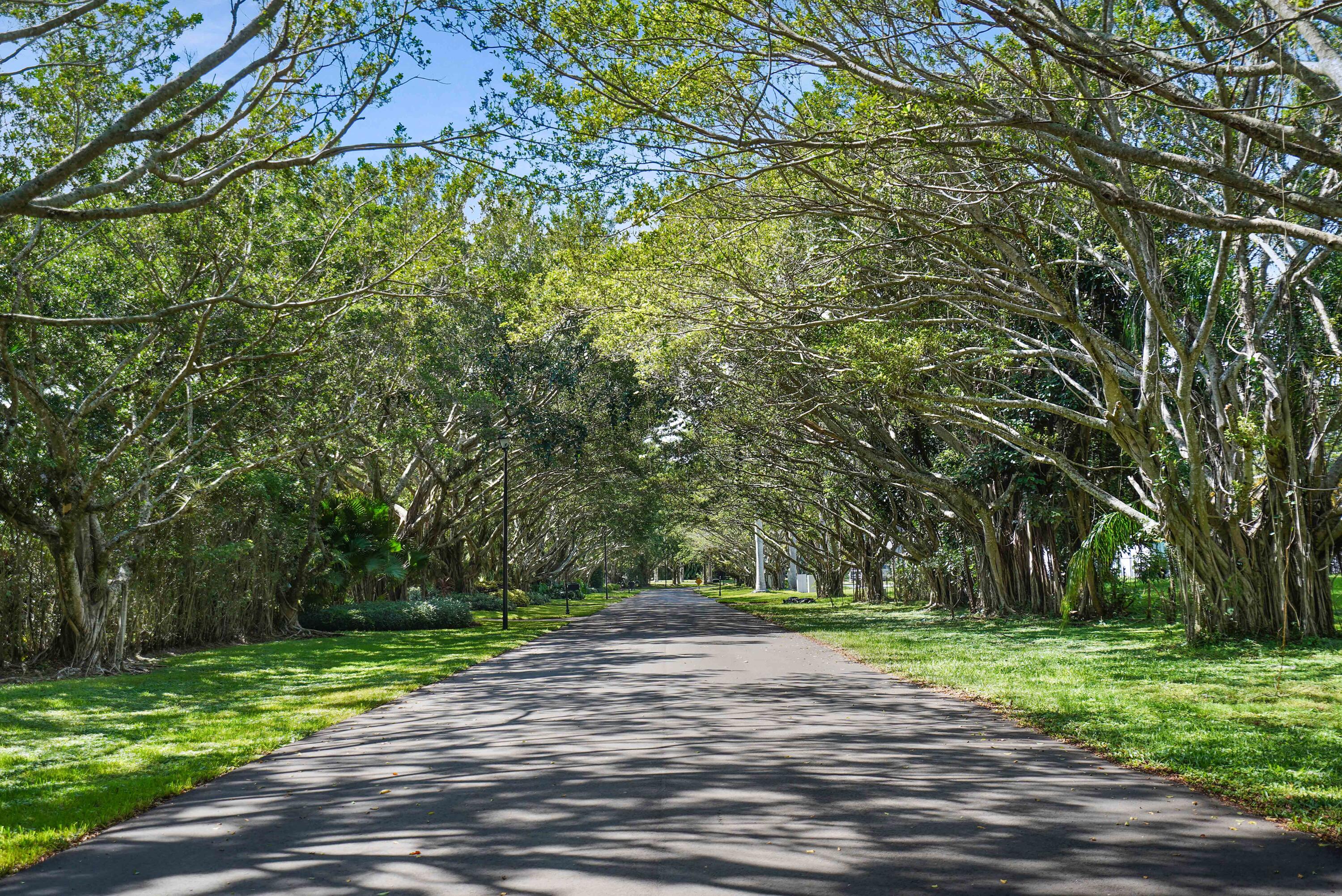 MLS #RX-10764901 image #8