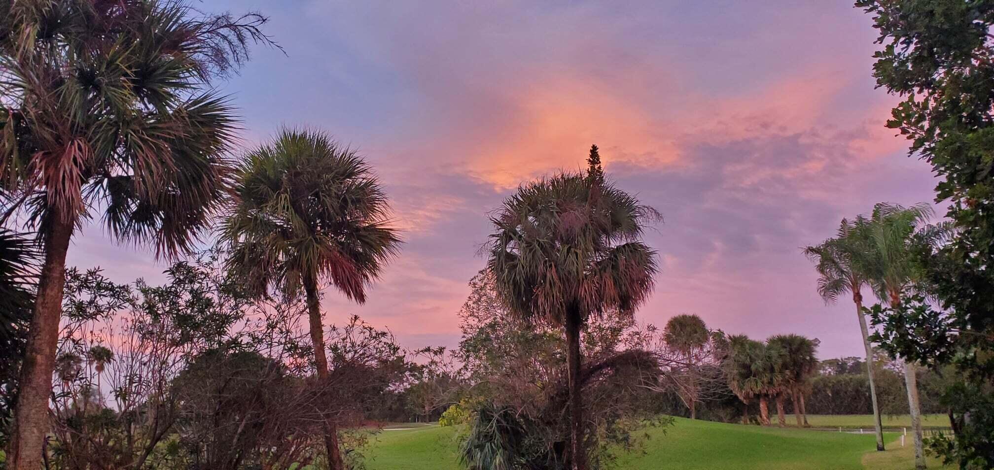 MLS #RX-11038433 image #43