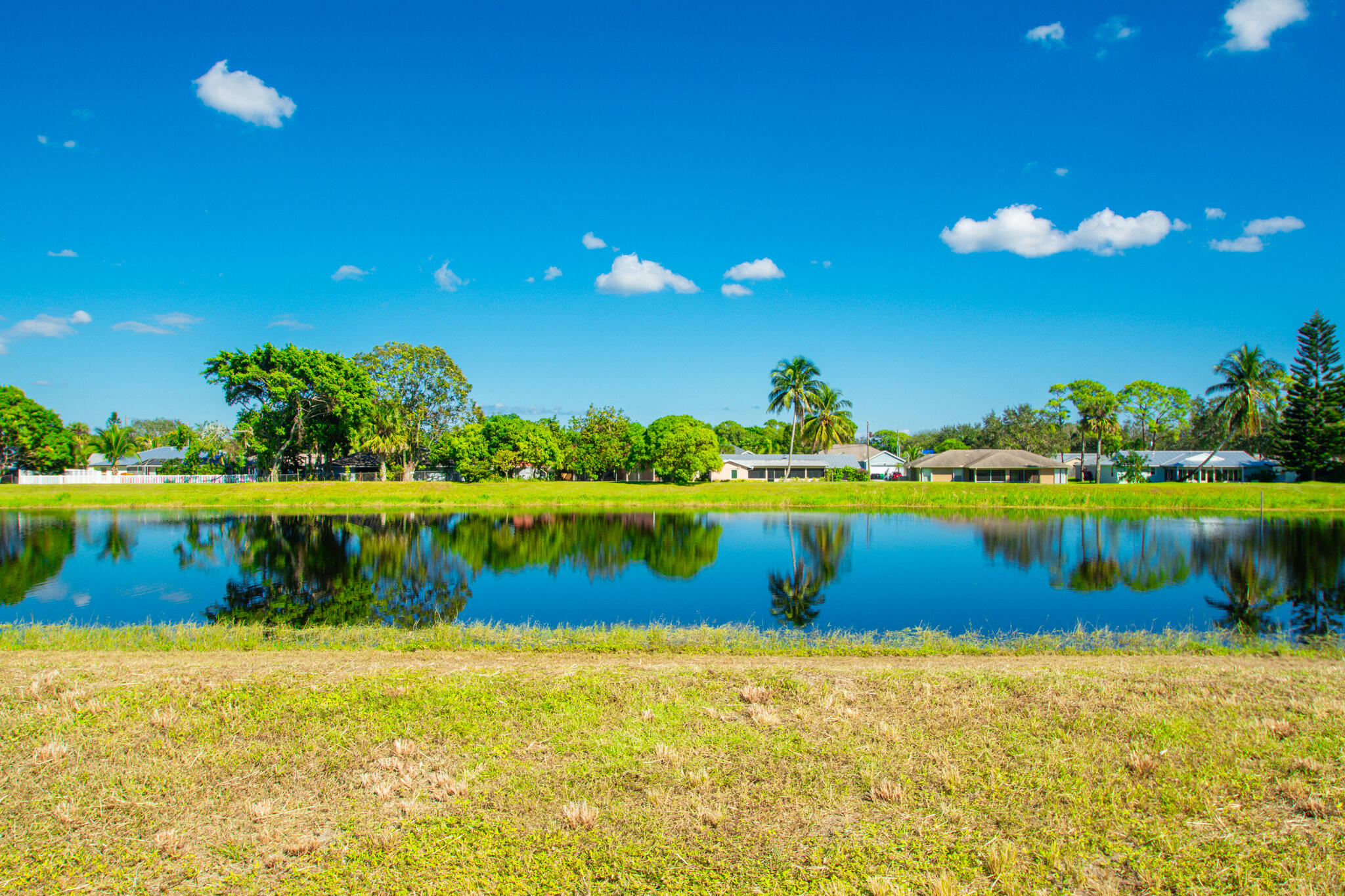 MLS #RX-10932794 image #17