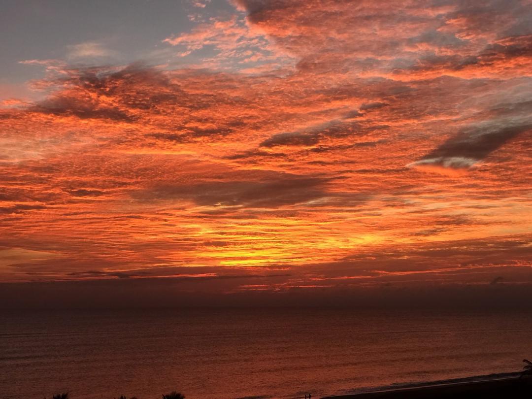 MLS #RX-11048568 image #40