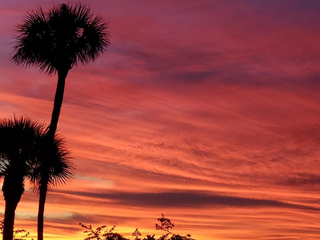 MLS #RX-11048568 image #49