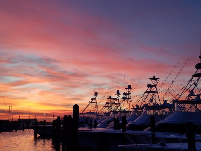 MLS #RX-11048568 image #50