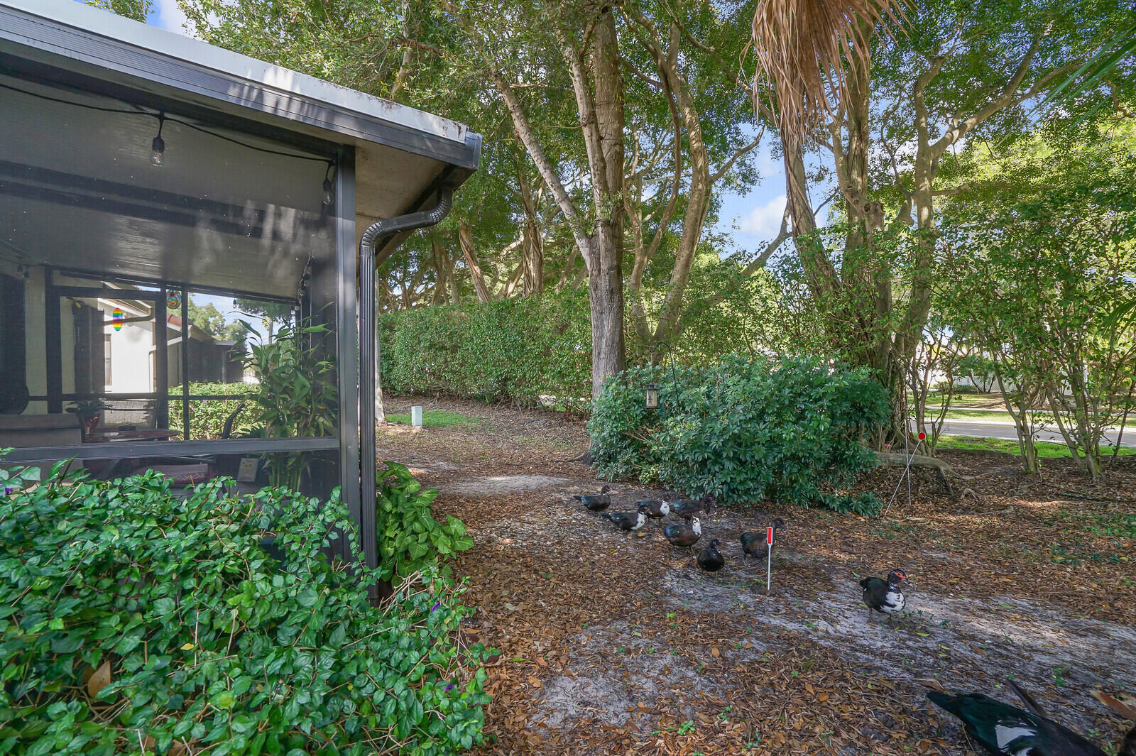 MLS #RX-11053737 image #33