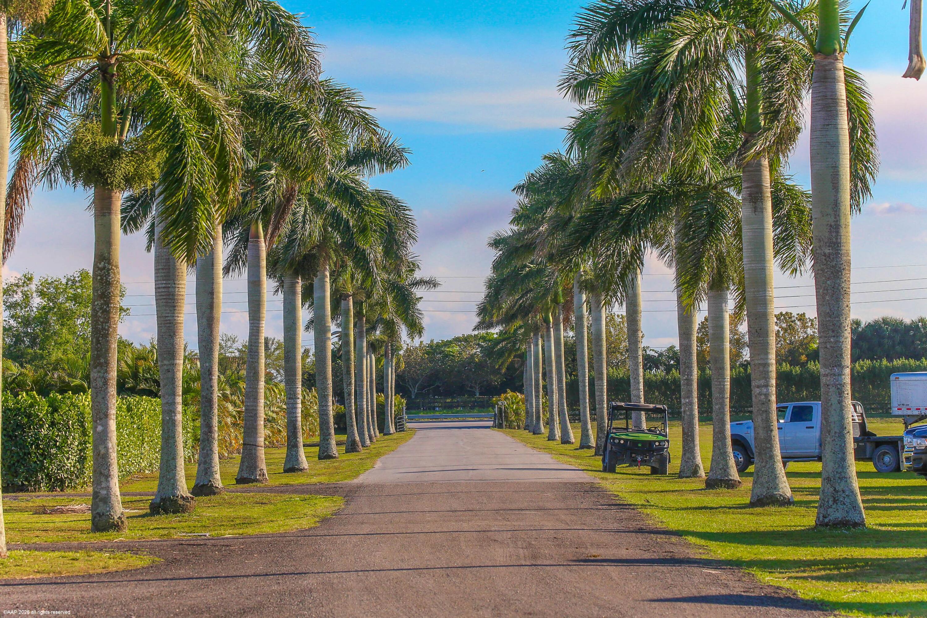 MLS #RX-11068517 image #1