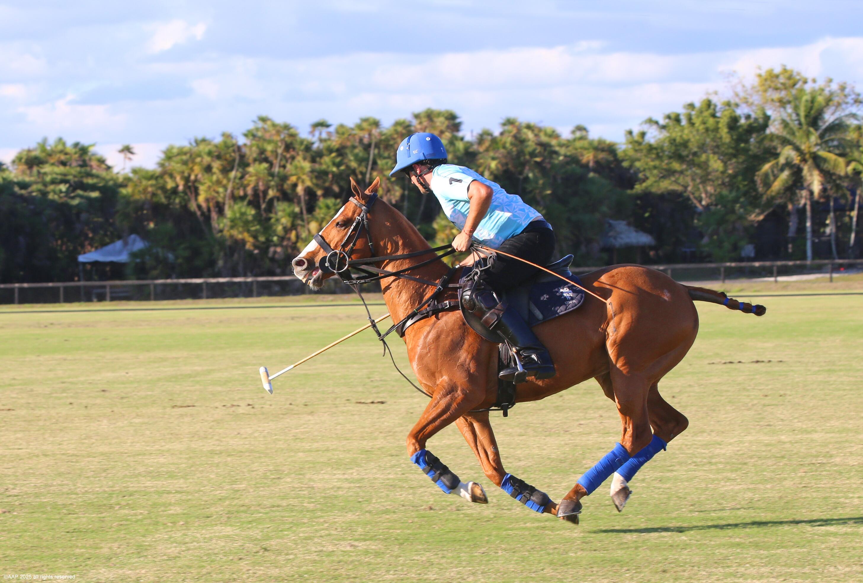 MLS #RX-11068517 image #52