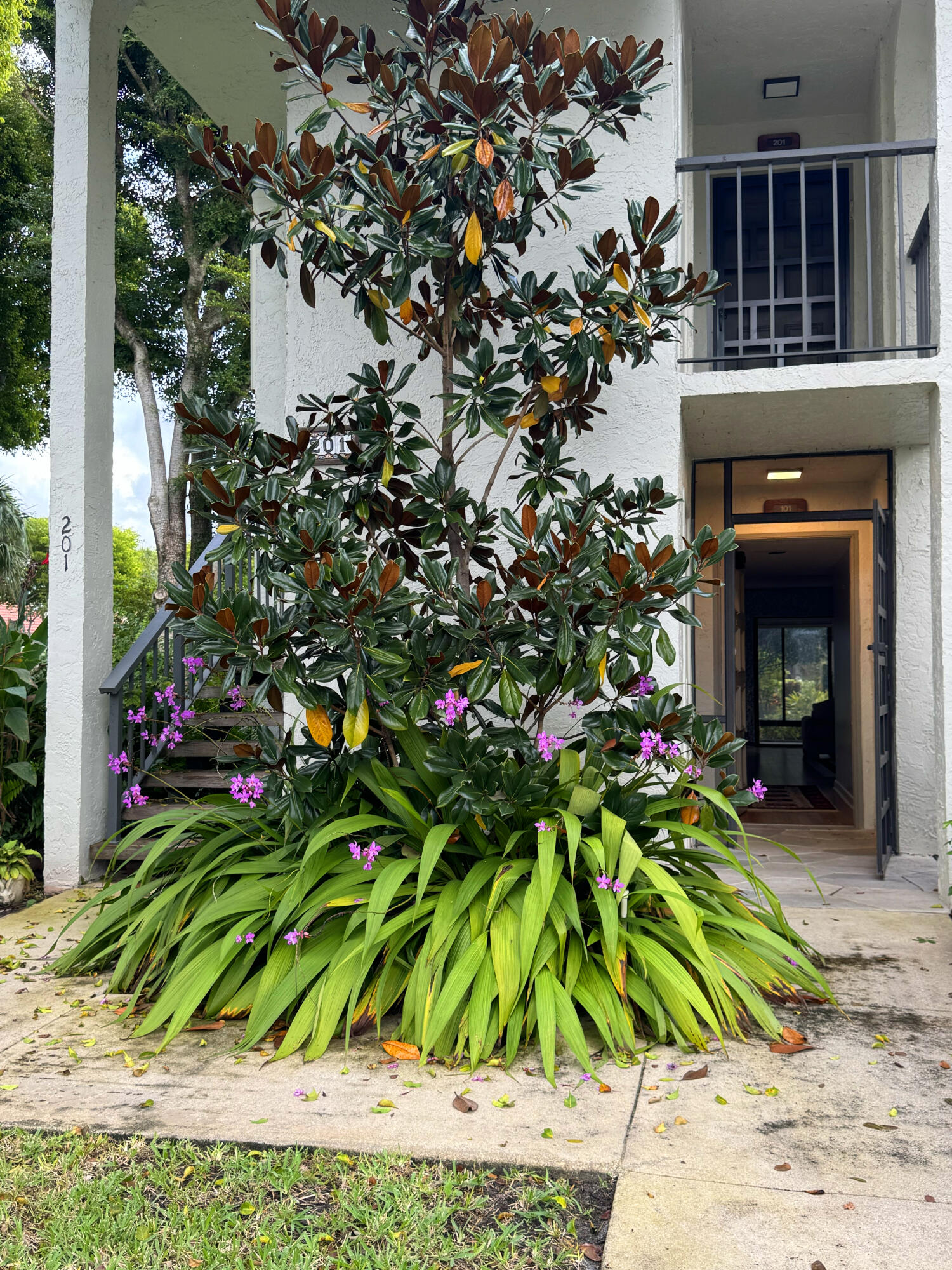 MLS #RX-11070628 image #1