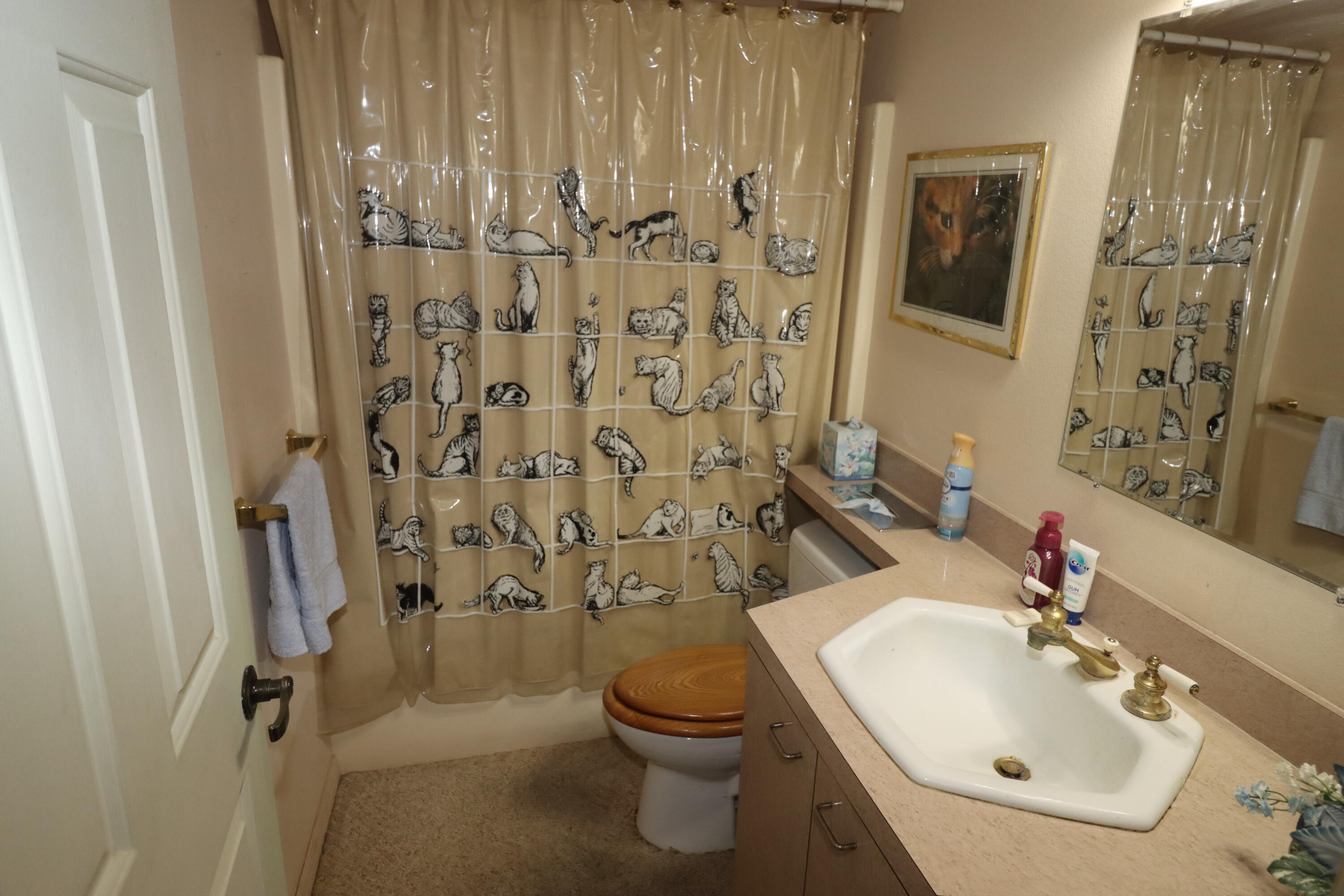 MLS #RX-11075291 image #18