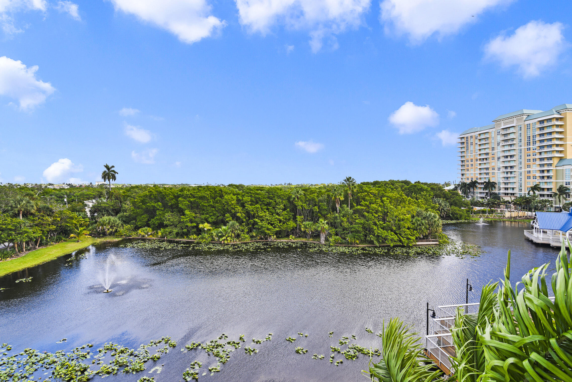 MLS #RX-11076903 image #33