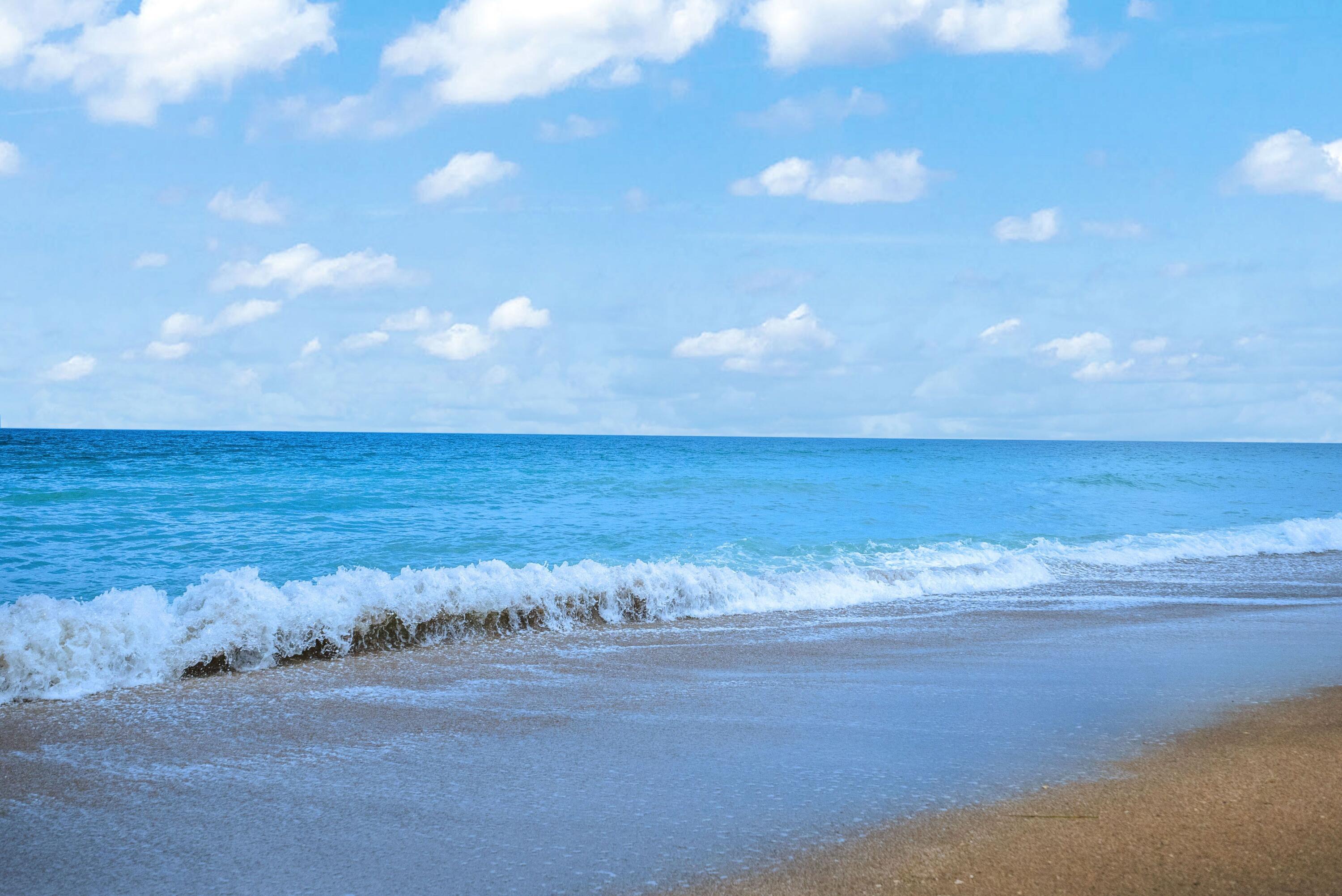 MLS #RX-11080368 image #57