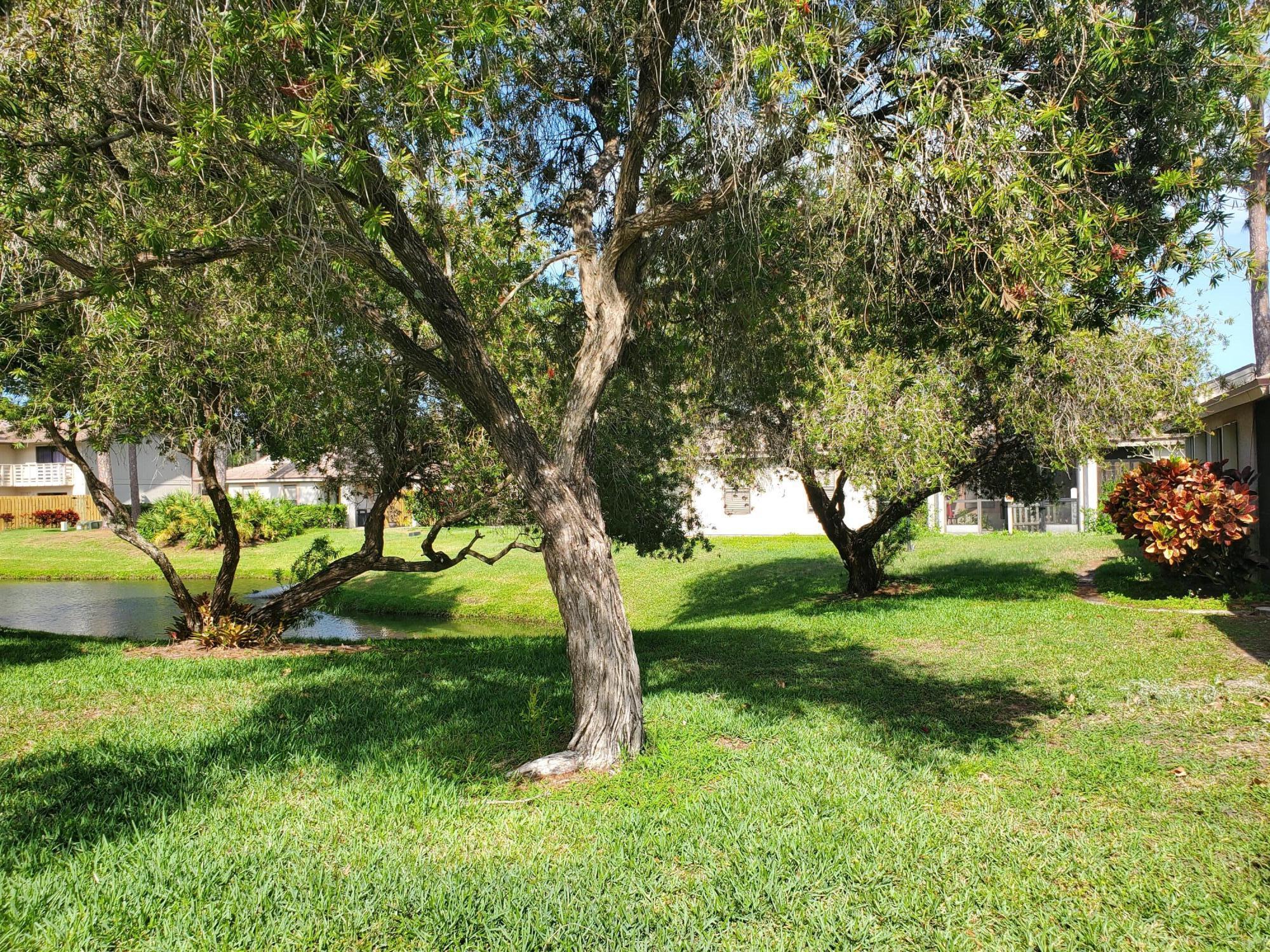 MLS #RX-10704968 image #2