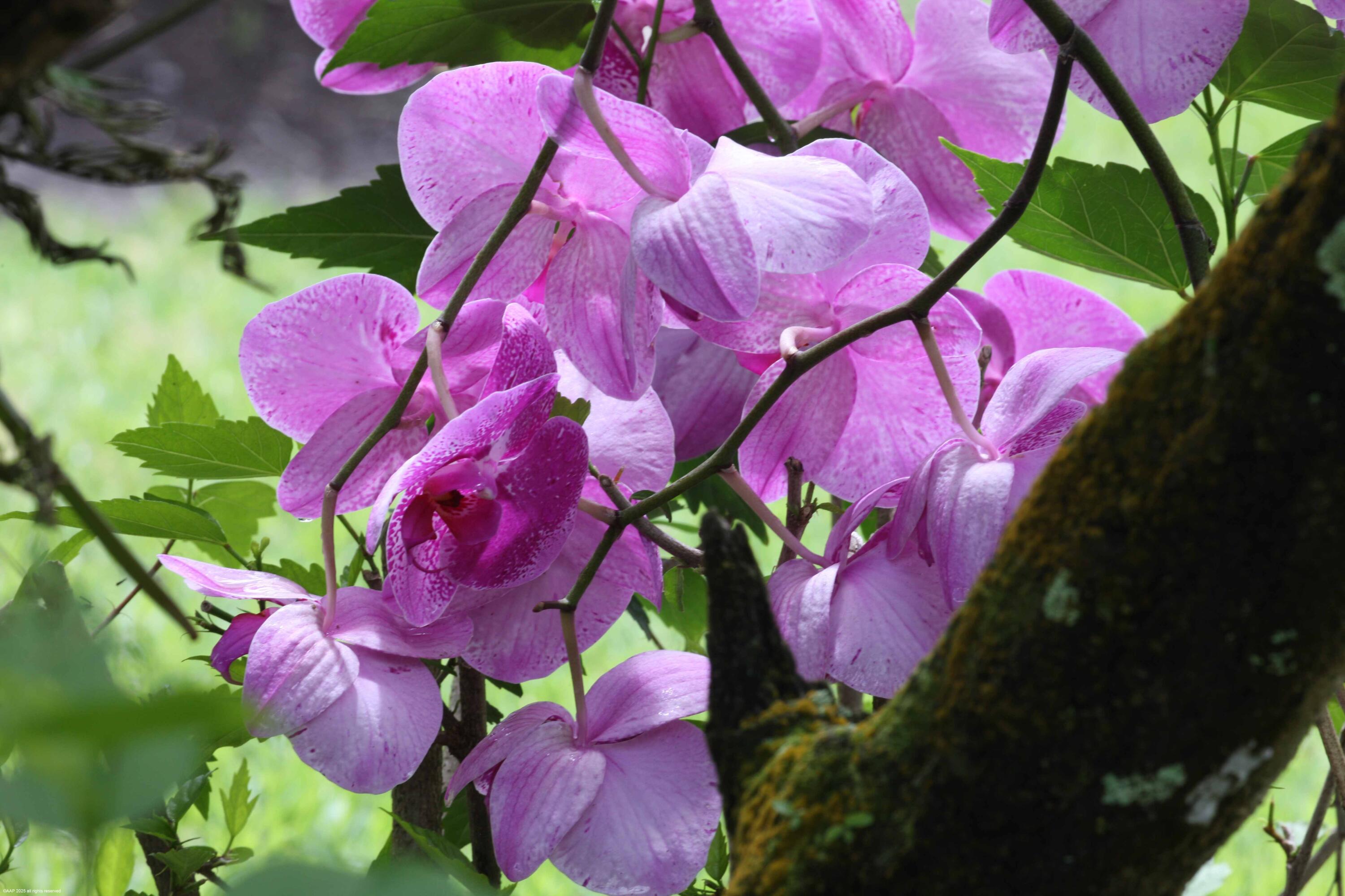 MLS #RX-11081315 image #71