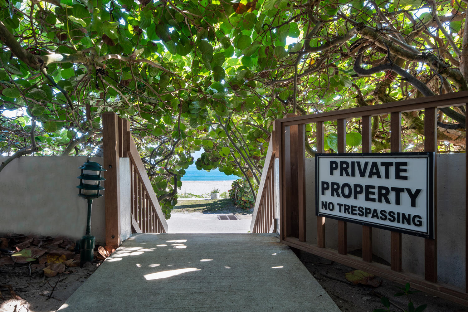 MLS #RX-11086091 image #46