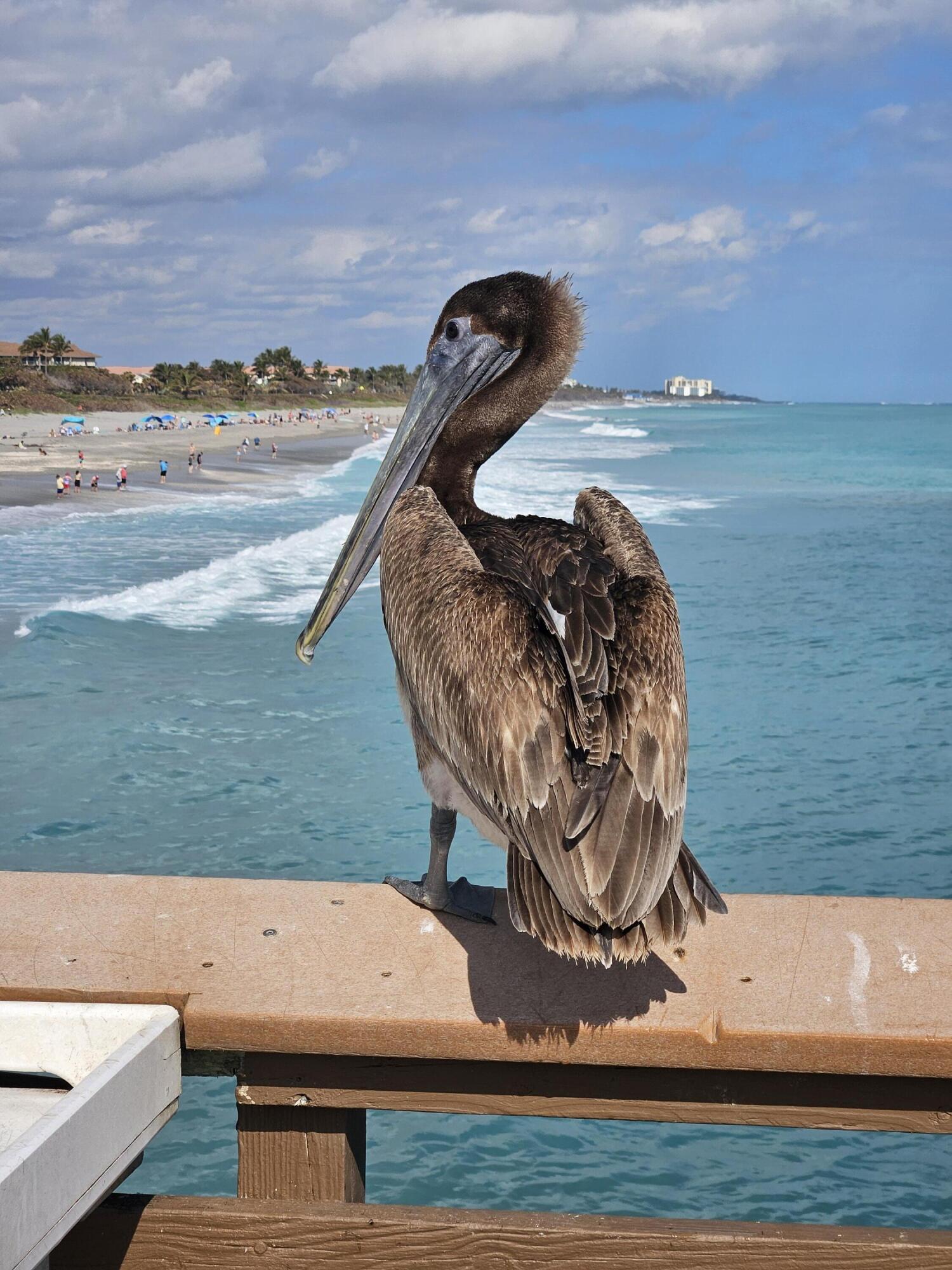 MLS #RX-11086147 image #63