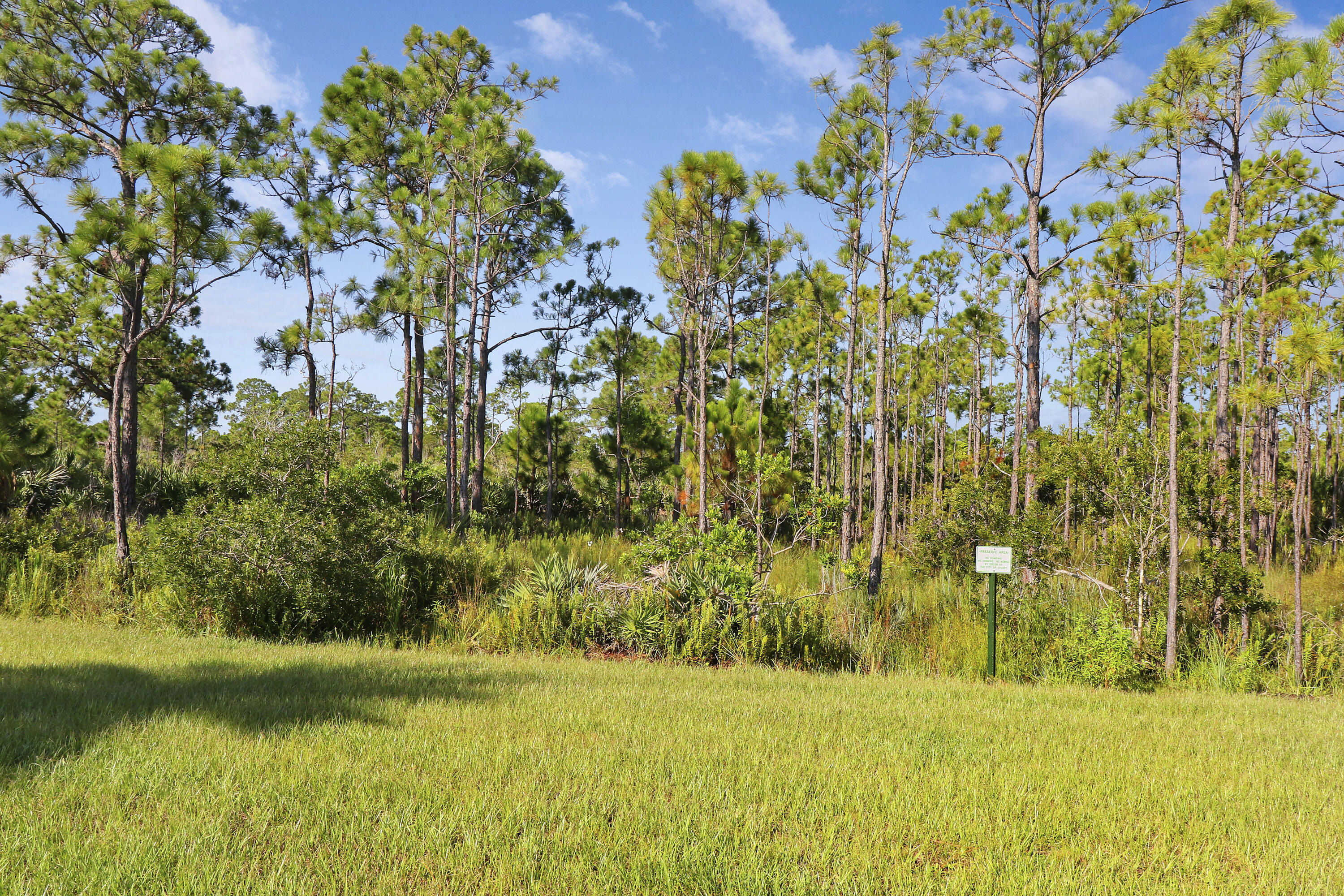 MLS #RX-11086311 image #40