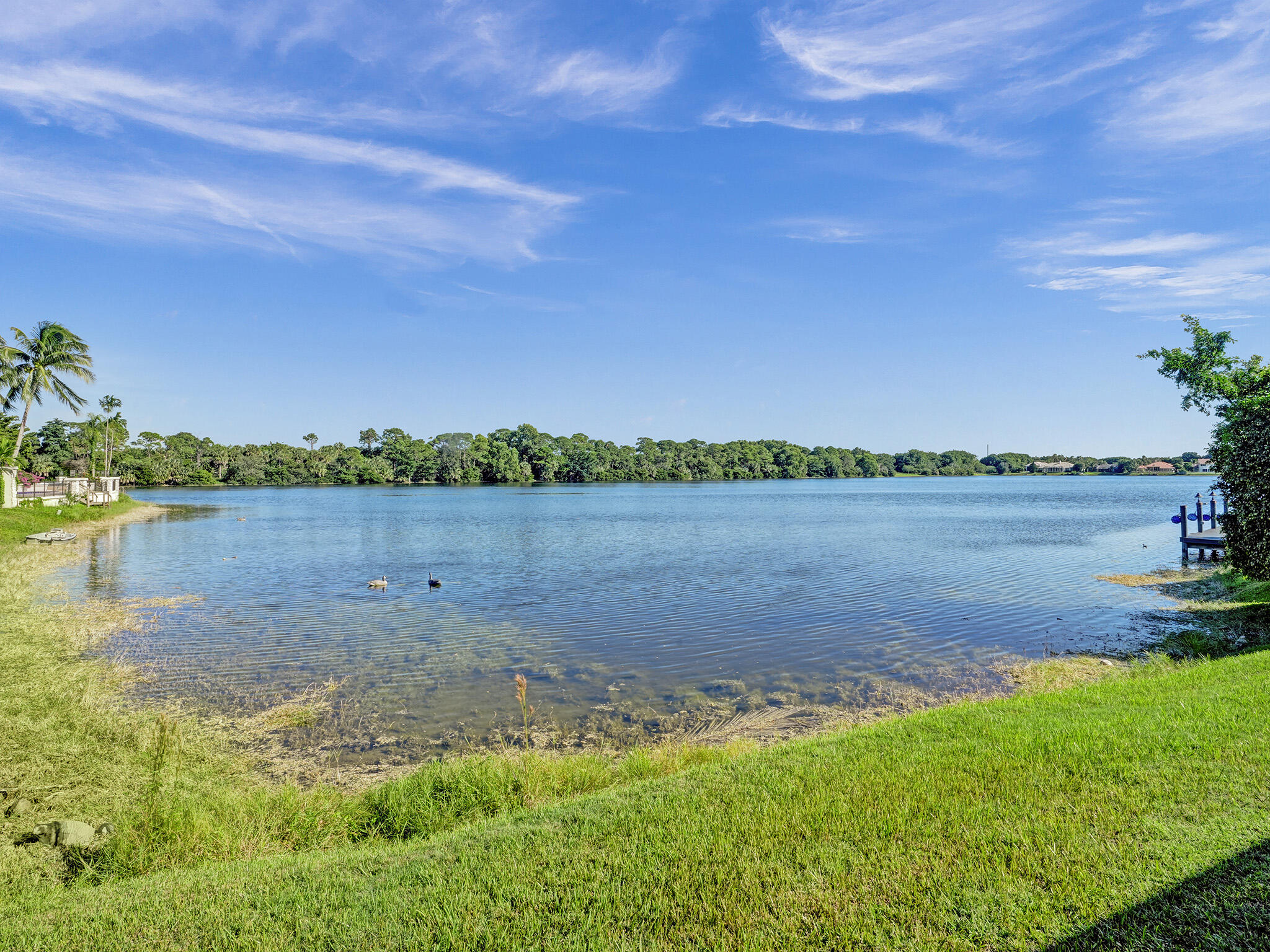 MLS #RX-11088446 image #8