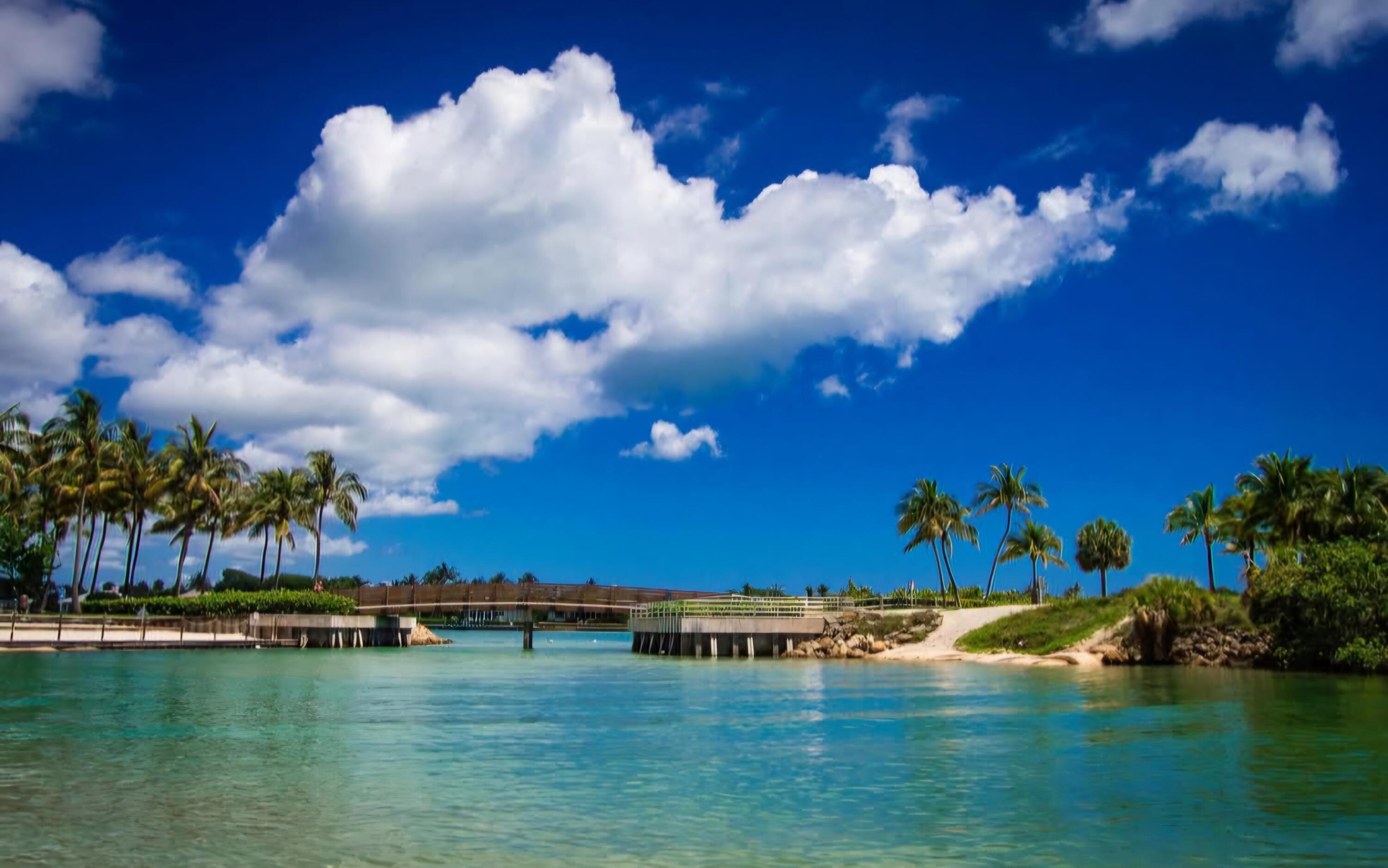 MLS #RX-11090958 image #32