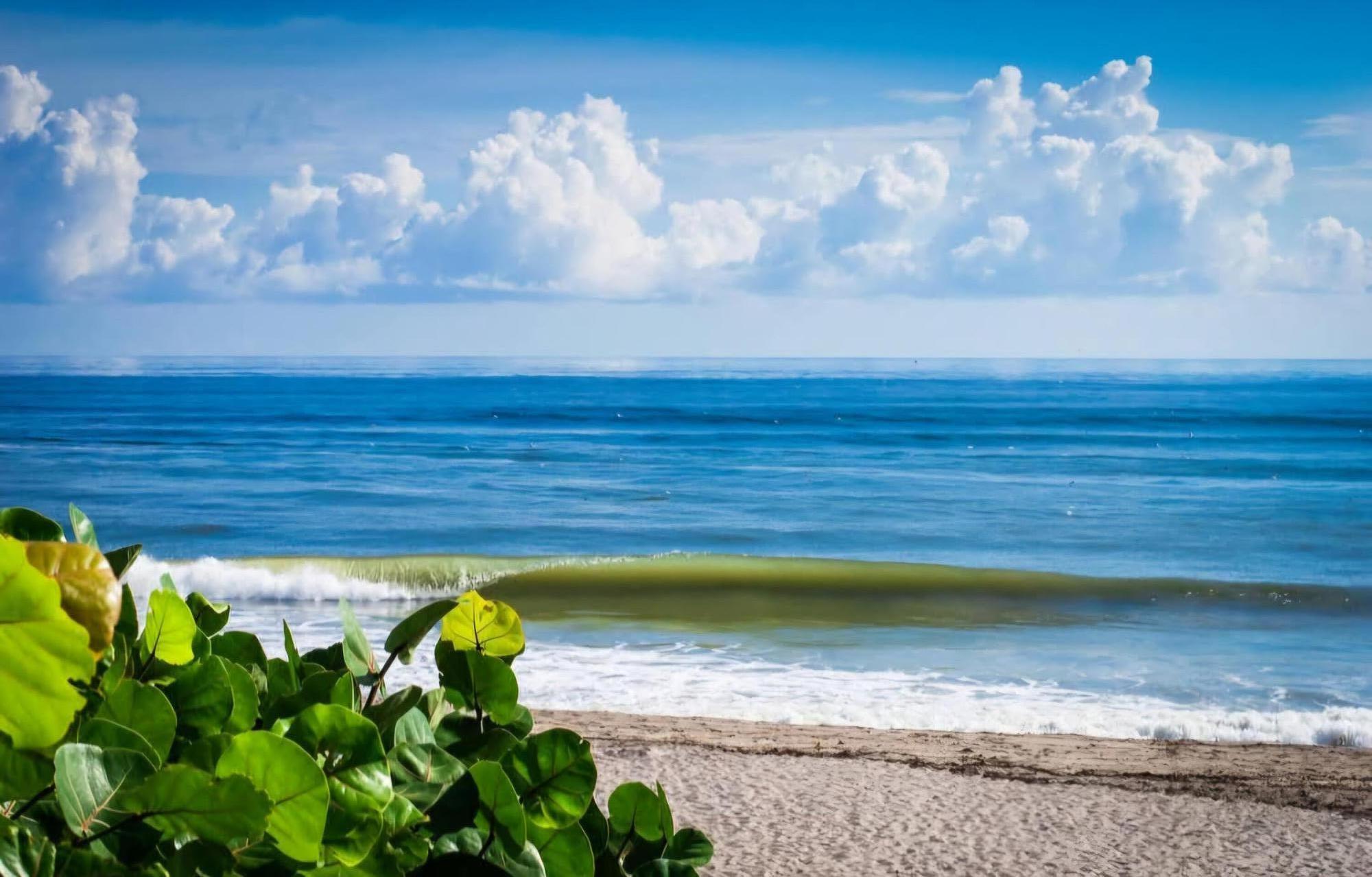 MLS #RX-11090958 image #34