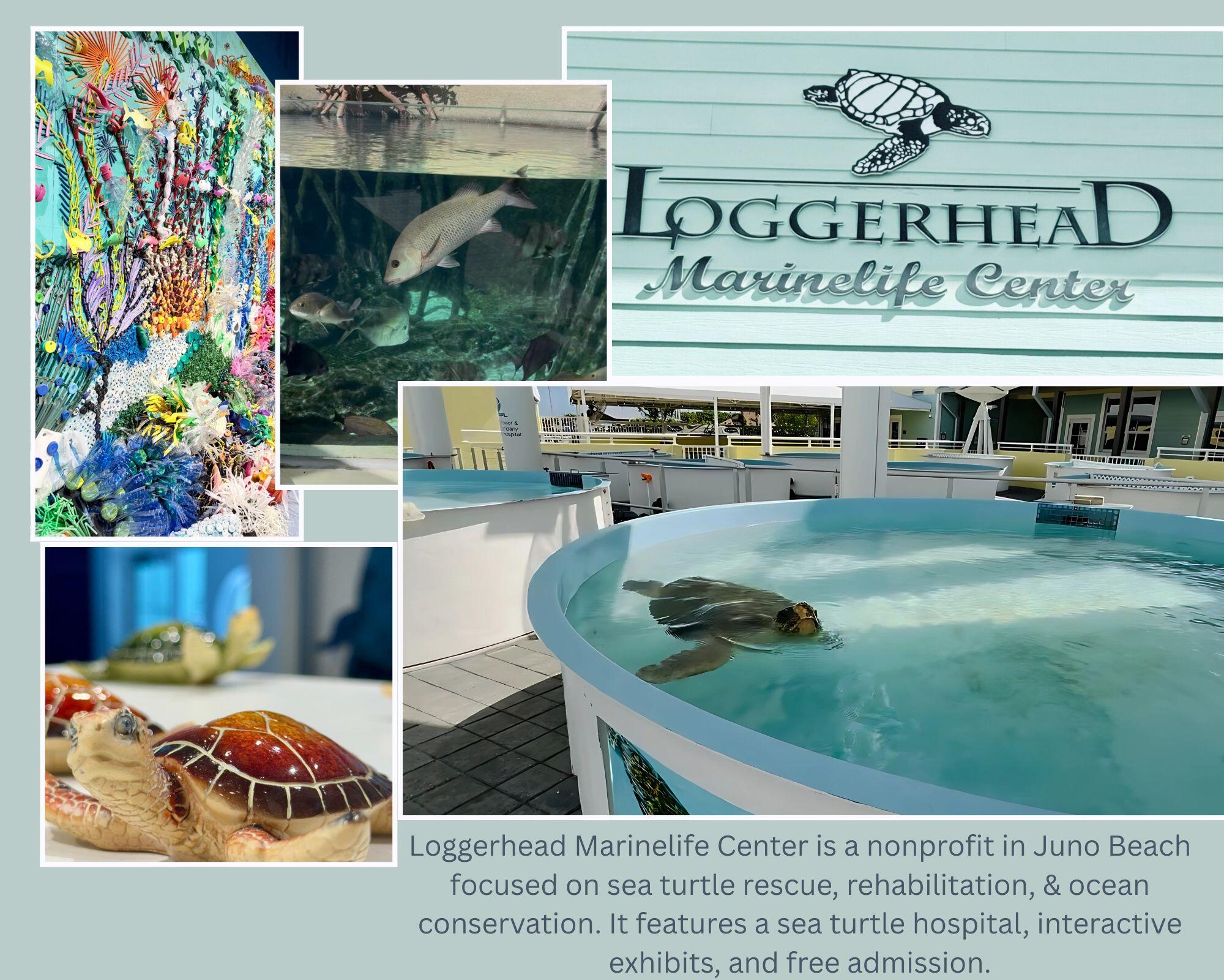 MLS #RX-11090958 image #35