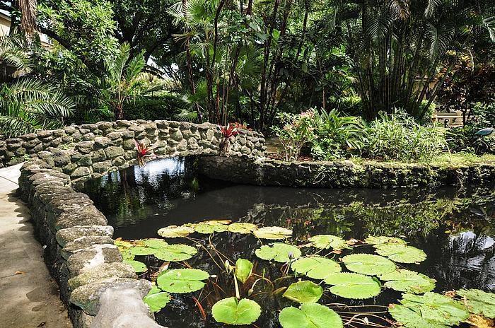 MLS #RX-11091044 image #33